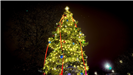 Pennsauken Tree Lighting Photo 19