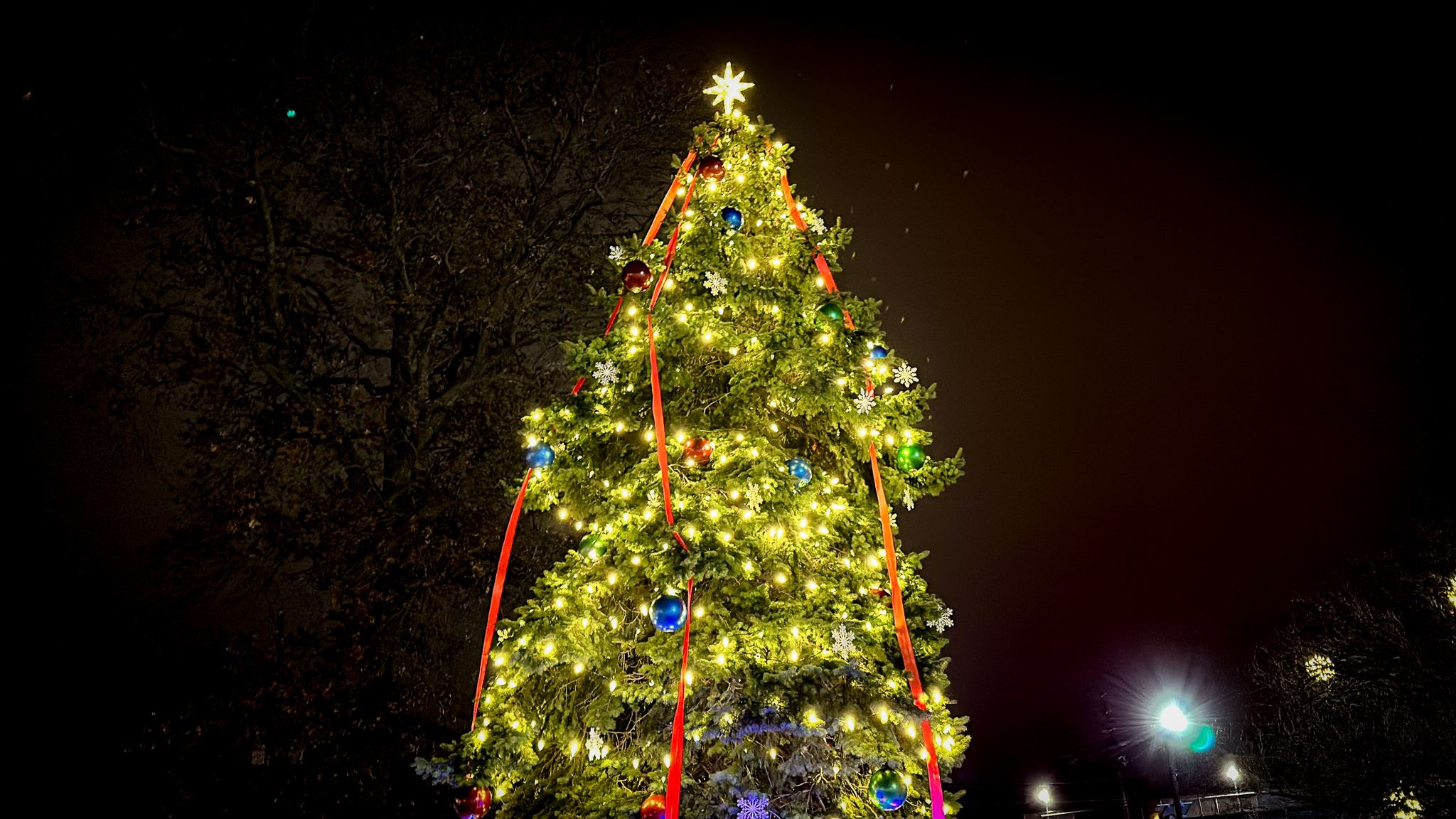 Pennsauken Tree Lighting Photo 19