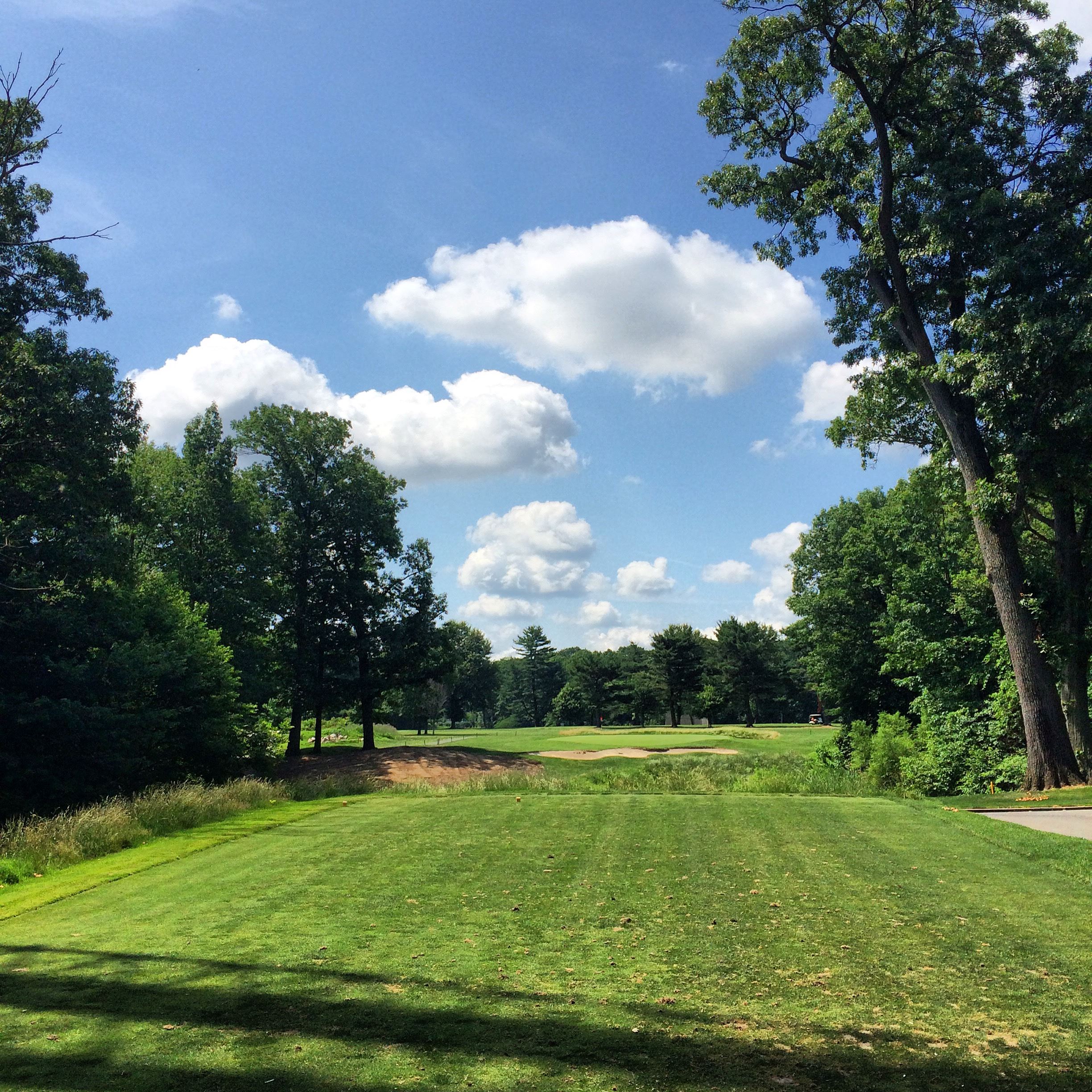 Greens at the golf course