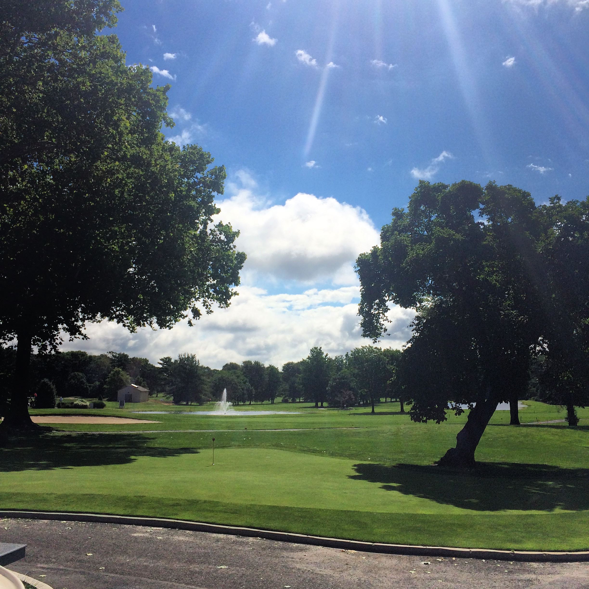 Greens at the golf course